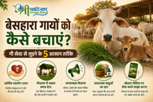 गौ सेवा